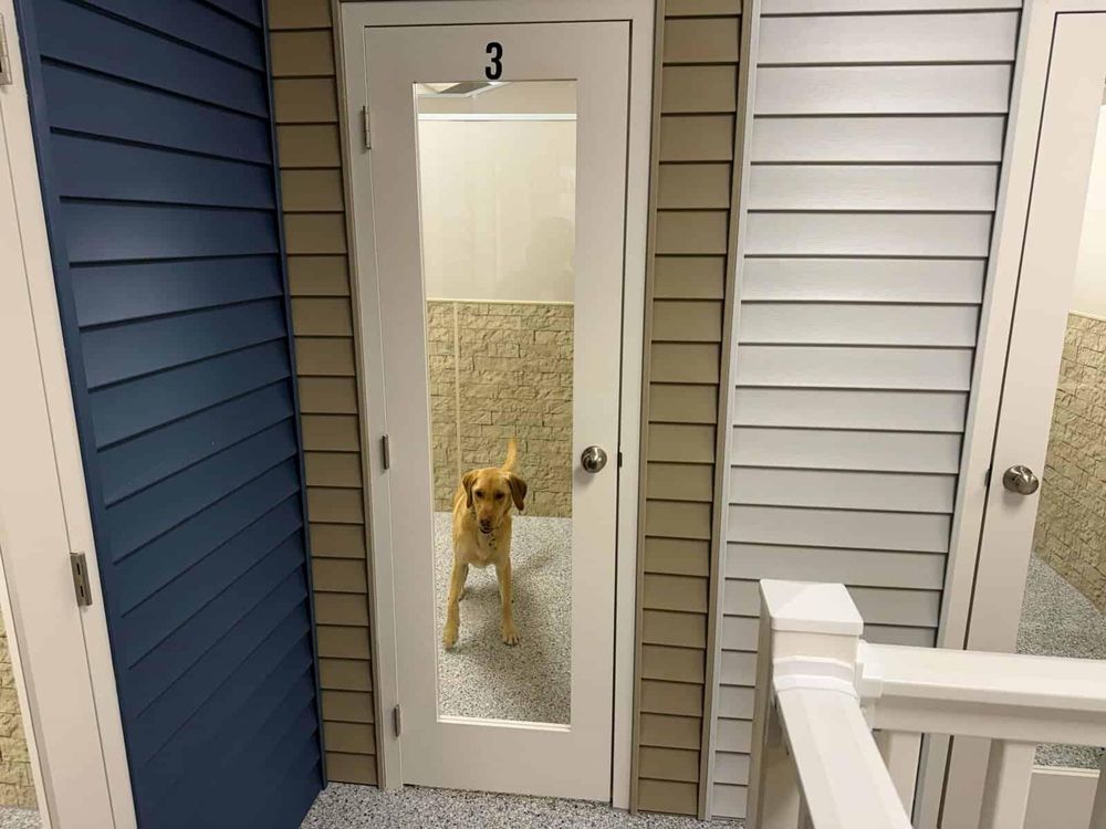 Pup E Club - pet boarding facility in Freeport, NY
