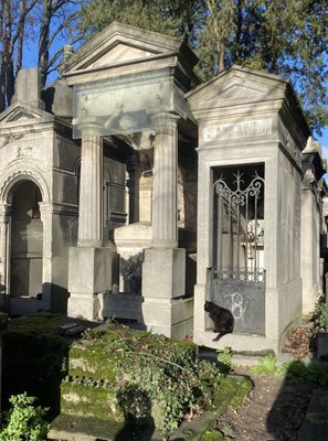 Photo of Cimetière de Montmartre - Paris, 75, FR. Cemetery cat