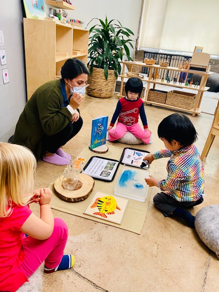 Tinycare - Soma Montessori Preschool - childcare center in San Francisco, CA