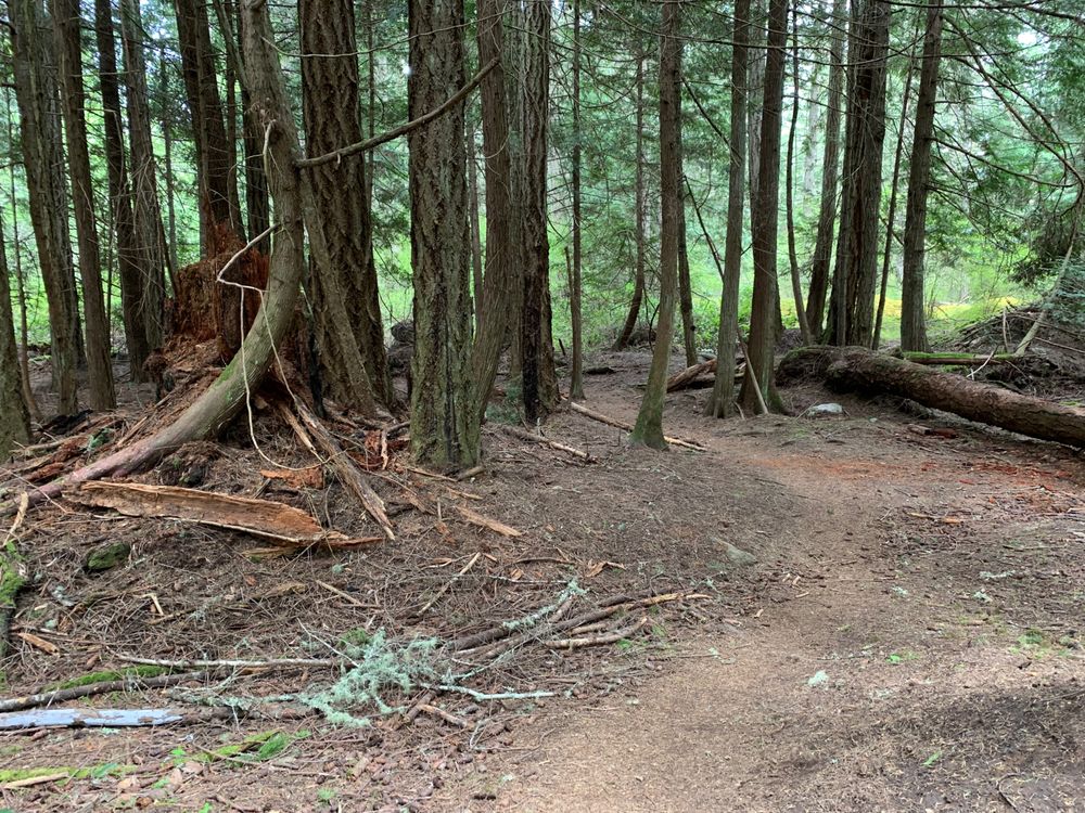 Lopez Hill Preserve Image