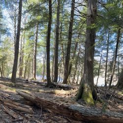 Mariaville Falls Preserve