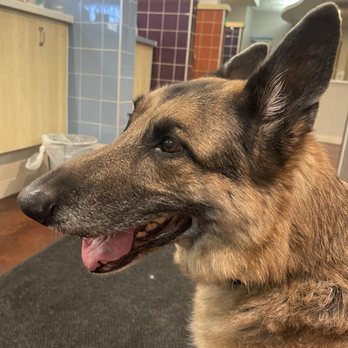 Veterinary Specialty Hospital - Sorrento Valley - One of many waiting areas - Veterinarians Near Me - Valley, California Veterinary Specialty Hospital - Sorrento Valley - One of many waiting areas - Veterinarians Near Me - Valley, California