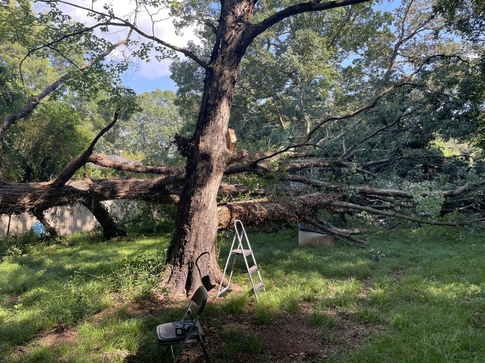 Slide of Big House Construction