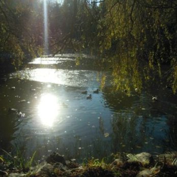 Minoru Park - Parks Near Me - Richmond, British Columbia Minoru Park - Parks Near Me - Richmond, British Columbia