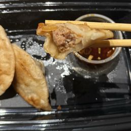 Pan Fried Dumplings