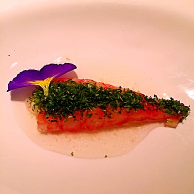 Glass Hostaria by null