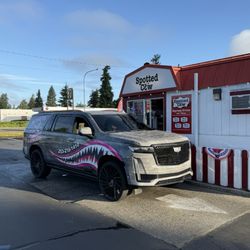 The Spotted Cow - me getting caffeine