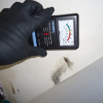 GETAMOLDTEST.COM - Elevated moisture levels detected on a ceiling with mold growth - Home Inspectors Near Me - San Jose, California