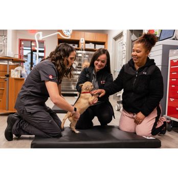 VEG ER for Pets - Emergency Pet Hospital Near Me - Brooklyn, New York VEG ER for Pets - Emergency Pet Hospital Near Me - Brooklyn, New York