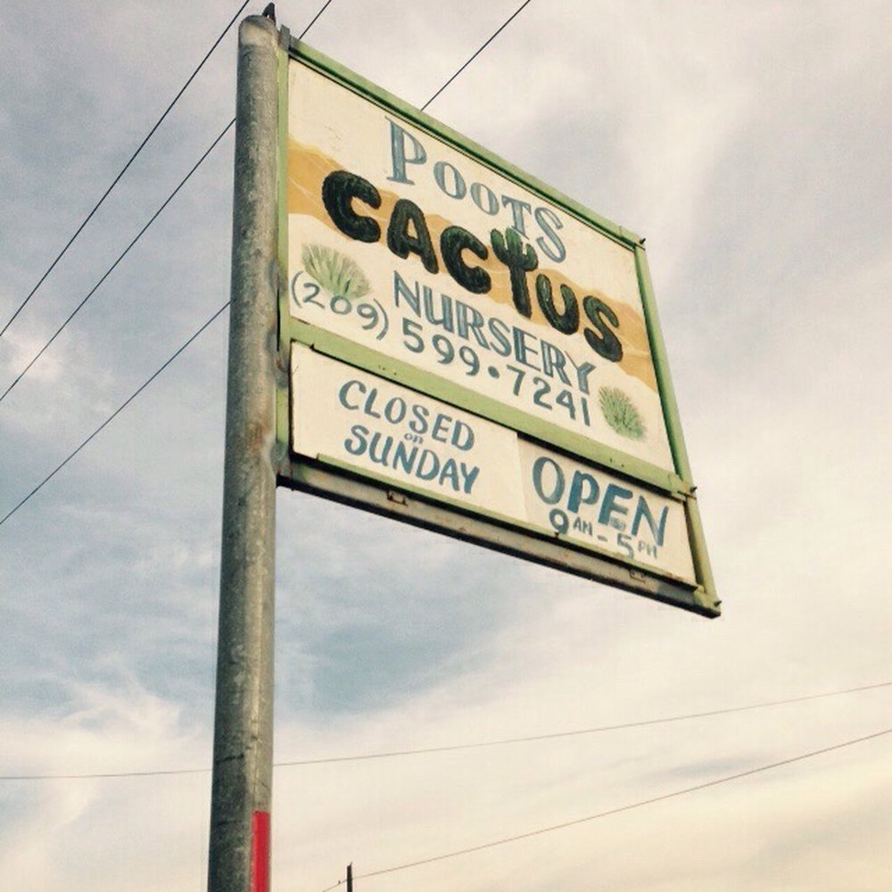Poot's Cactus Nursery - Nurseries & Gardening Near Me - Ripon, California Poot's Cactus Nursery - Nurseries & Gardening Near Me - Ripon, California