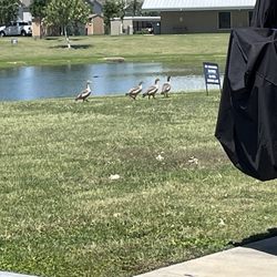 Greenlake RV Resort by QRV