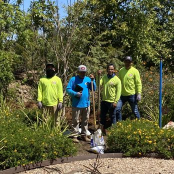 Moon Valley Nurseries - Planting my HUGE Jacaranda Tree. What a great group of hard working and polite guys! - Landscaping Near Me - Escondido, California Moon Valley Nurseries - Planting my HUGE Jacaranda Tree. What a great group of hard working and polite guys! - Landscaping Near Me - Escondido, California