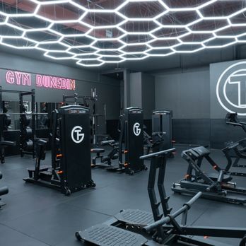 The Gym - Gyms Near Me - Dunedin, Florida The Gym - Gyms Near Me - Dunedin, Florida