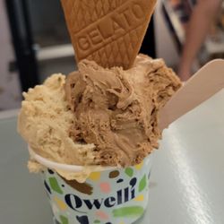 Qwelli