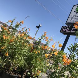 Green Fox Landscape Supply