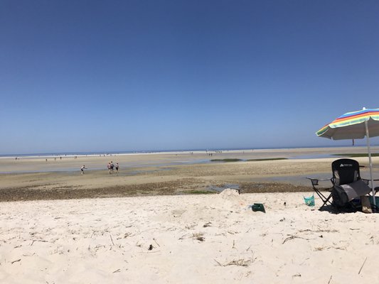 Chapin Memorial Beach by null