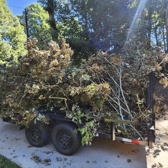 Wolfpack Tree Service - Tree Services Near Me Wolfpack Tree Service - Tree Services Near Me