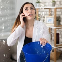 Tina's Real Estate Service - CAL WATER DAMAGE SERVICES - Woman holding bucket for flood