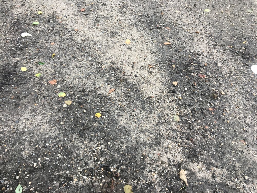 MOTHER EARTH’S 350 Elwood Rd, East Northport, New York Nurseries