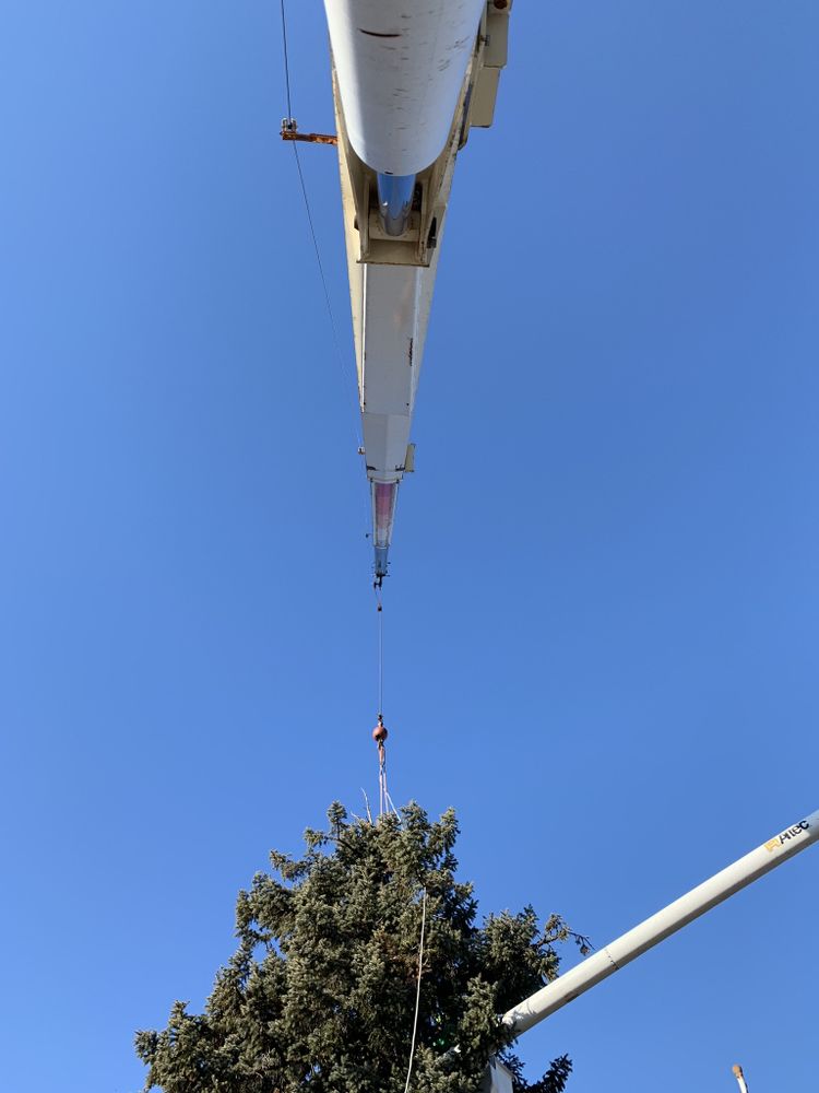 PENNSYLVANIA ARBORIST Updated September 2024 Philadelphia, Pennsylvania Tree Services