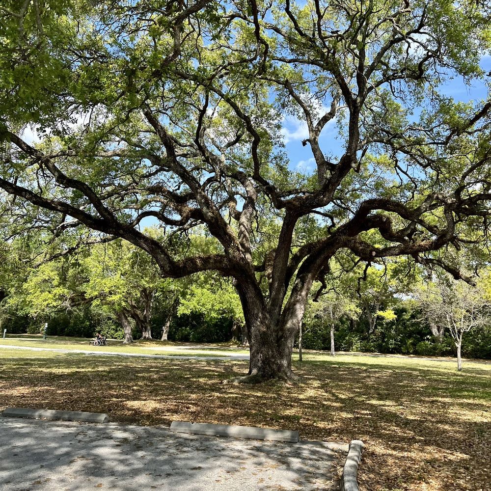 T.Y. Park - Parks Near Me - Hollywood, Florida T.Y. Park - Parks Near Me - Hollywood, Florida