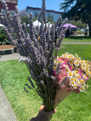 Arcata Plaza Farmers' Market by null