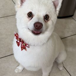 She's all cleaned up and ready for the holidays She's all cleaned up and ready for the holidays