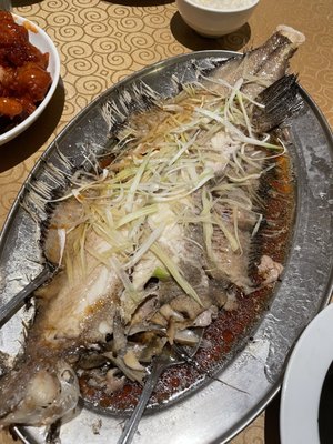 Sampan Cafe by null