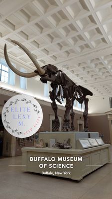 Buffalo Museum of Science by null