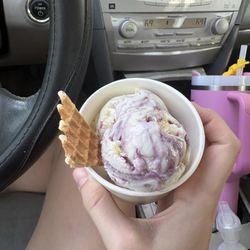 Blackberry lemon sorbet