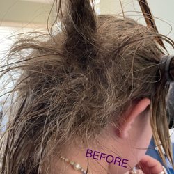 Three Palms Salon & Spa - The worst tangle I've ever battled and lost to!