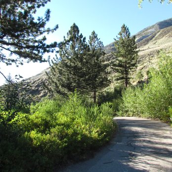 Big Pine Creek Campground - View down the somewhat private road leading down to site 18 - Hiking Near Me