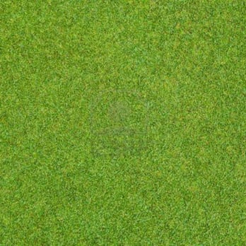 Cox Lawn Service - Cox Lawn Service - Savannah MO - Lawn Maintenance - Landscaping Near Me Cox Lawn Service - Cox Lawn Service - Savannah MO - Lawn Maintenance - Landscaping Near Me