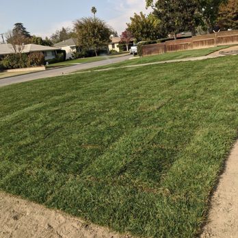 Torres Landscaping & Concrete - After - Landscaping Near Me - Bakersfield, California Torres Landscaping & Concrete - After - Landscaping Near Me - Bakersfield, California