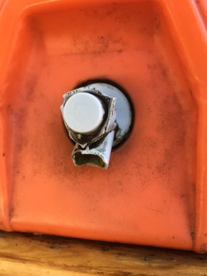 The Flying Fish by null