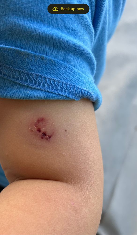 Little One's Learning Center - childcare center in Aurora, CO