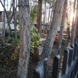 Odyssey House - Zen garden