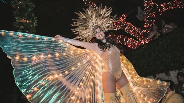 Mayami Wynwood by null