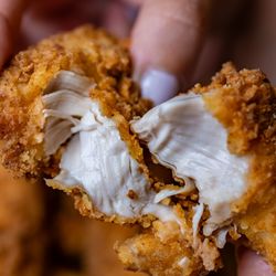 Honestly Good - Chicken Finger