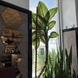 Outside Outside