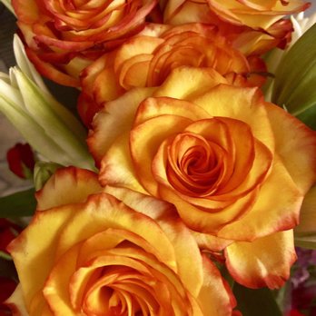 Lucy's Flowers & Design - These made my day! #localflorist #OnHavanaStreet - Florists Near Me - Aurora, Colorado Lucy's Flowers & Design - These made my day! #localflorist #OnHavanaStreet - Florists Near Me - Aurora, Colorado