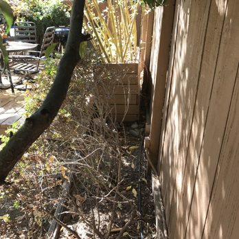Bamboo Giant Nursery and Gardens - The planter has shifted and leaning towards my deck. - Nurseries & Gardening Near Me - Aptos, California Bamboo Giant Nursery and Gardens - The planter has shifted and leaning towards my deck. - Nurseries & Gardening Near Me - Aptos, California