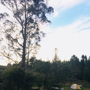 Hosmer Grove Campground - Campgrounds Near Me - Kula, Hawaii