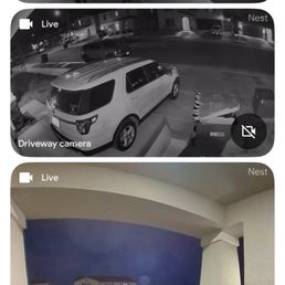 Google cameras and door bell camera