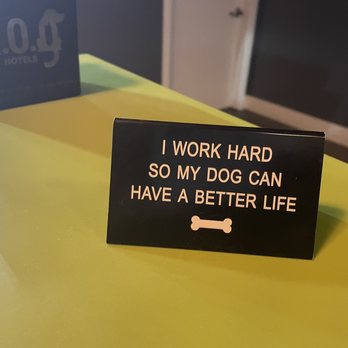 Dog Wynwood - Great motto and absolutely true! - Pet Groomers Near Me - Miami, Florida