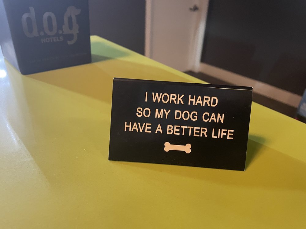 Dog Wynwood Image