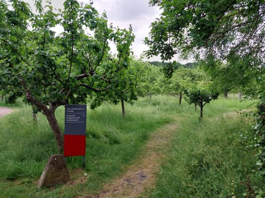 Anne Hathaway's Cottage by null