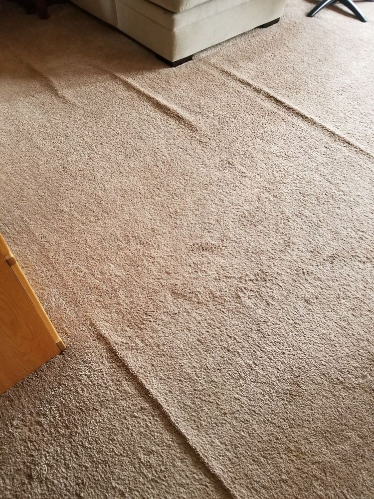 HARLEM CARPET & TILE MART Updated October 2024 3342 N Harlem Ave