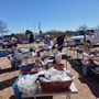 Photo of mustang corners swap meet