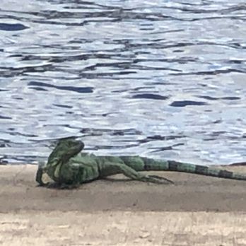 Marine Drive Park - Parks Near Me - Pompano Beach, Florida